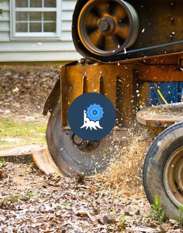 Blue Collar Tree Service