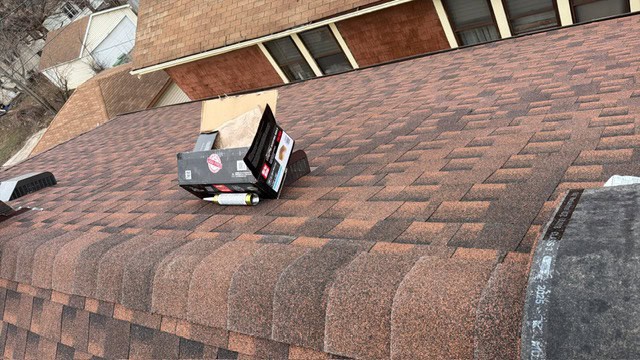 Lion Guard Roofing