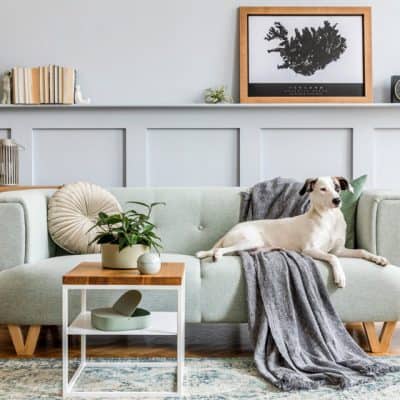 Fresh Coat Painters of Bonney Lake