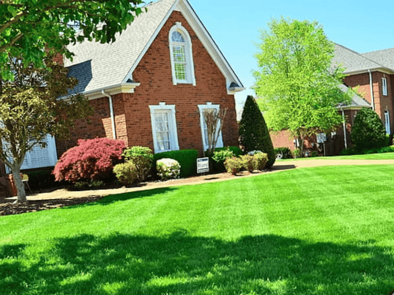 Leading Edge Landscape and Design