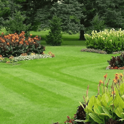 Leading Edge Landscape and Design