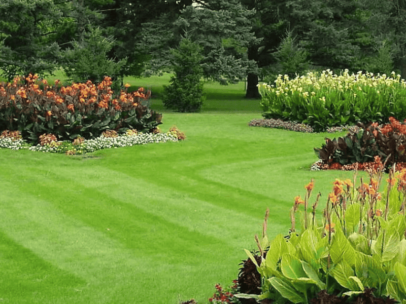 Leading Edge Landscape and Design
