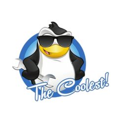 The Coolest LLC