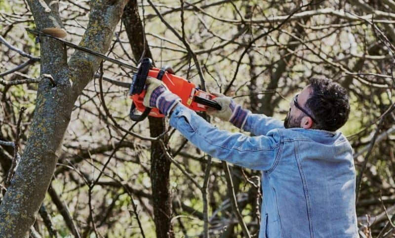 Boutte Tree, Inc.