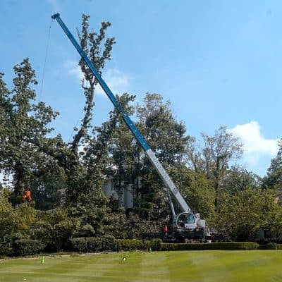 Boutte Tree, Inc.