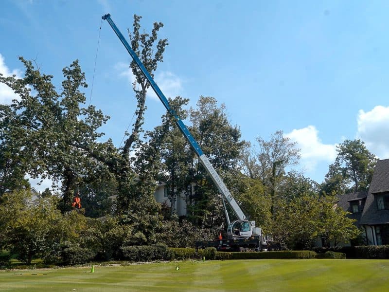 Boutte Tree, Inc.