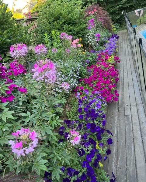 Joel Crespo Landscaping - Hamptons