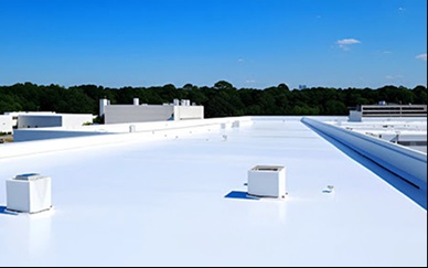 Rhino Roofing NWFL