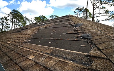Rhino Roofing NWFL